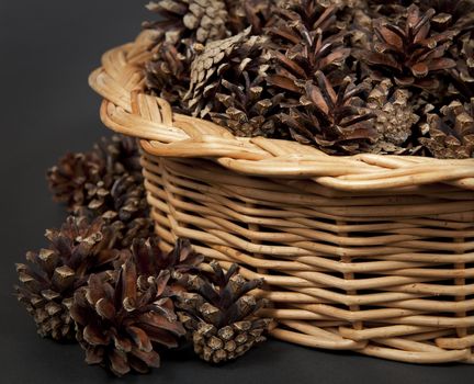 Many pine cones lying in the basket.