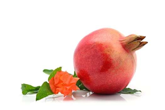 Close-up of indian pomegranate on a white background with pomegranate flower and leaf