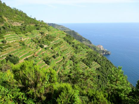 top view of the gulf of 5 Terre, Liguria, Italy