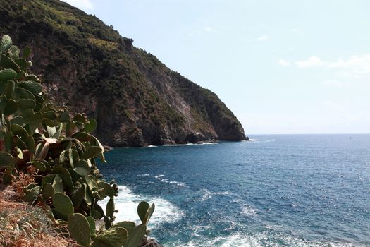 sea view and cliffs in riomaggiore, gulf of 5 terre, Italy