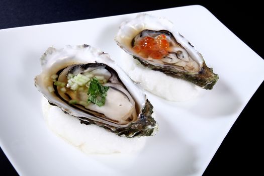 white plate with two oysters on a black background