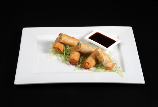 roulade with vegetables and sauce in white plate on a black background