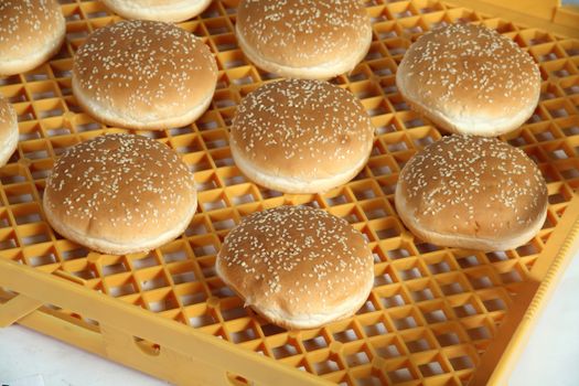 bread in plastic crate for transport and food storage