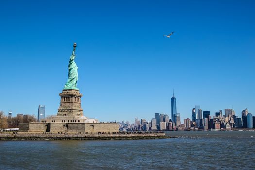 Statue of Liberty with a seagull  on a sunny day, Manhattan in the background.