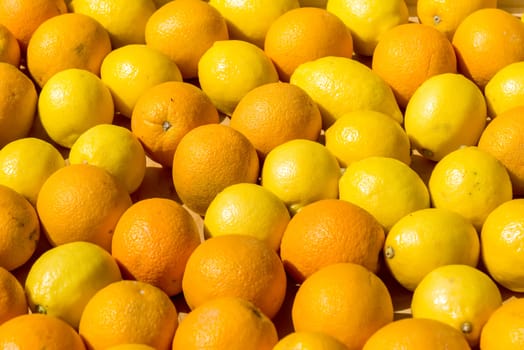 the fresh oranges in a wooden box