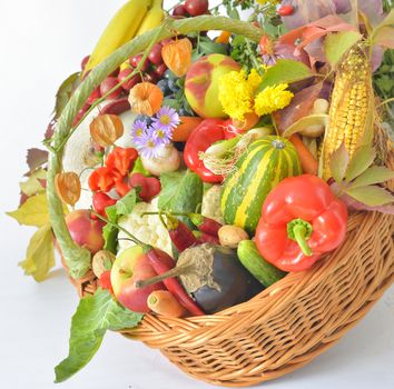 fresh healthy vegetables in basket
