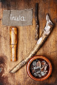 Root medicinal perennial plants nard that has healing properties