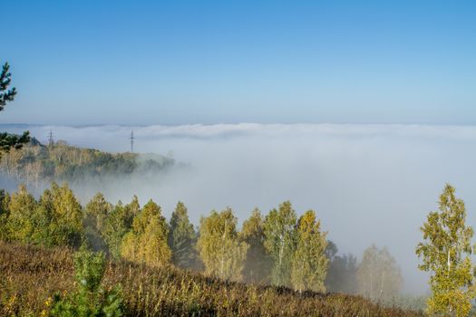 morning sunrise over a field with a single tree and fog in the distance