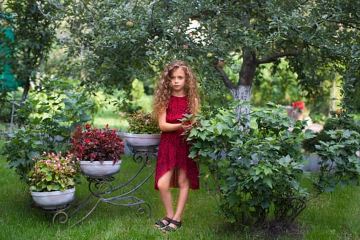 Girl with long hair on nature in a warm summer day