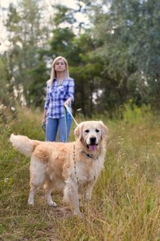 Girl walking with a dog on a green meadow