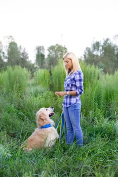 Girl walking with a dog on a green meadow