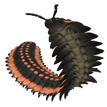 Arthropleura was a giant insect invertebrate that lived in North America and Scotland during the Carboniferous Period.