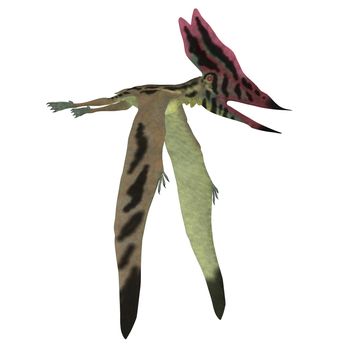 Thalassodromeus was a carnivorous pterosaur that lived in Brazil in the Cretaceous Period.