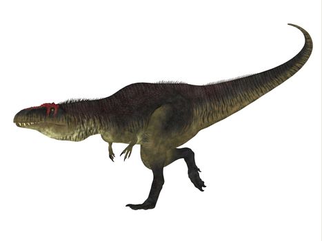 Tyrannotitan was a carnivorous theropod dinosaur that lived in the Cretaceous Period of Argentina.