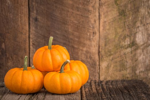 Pumpkins against a rustic, weathered wood background.