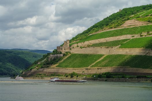 Cargo ship, medieval castle (fortress) Ehrenfels and vineyards on the slope of Rhine river bank, Ruedelsheim, Hessen, Germany