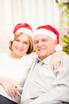 Happy senior couple celebrating christmas at home ambient