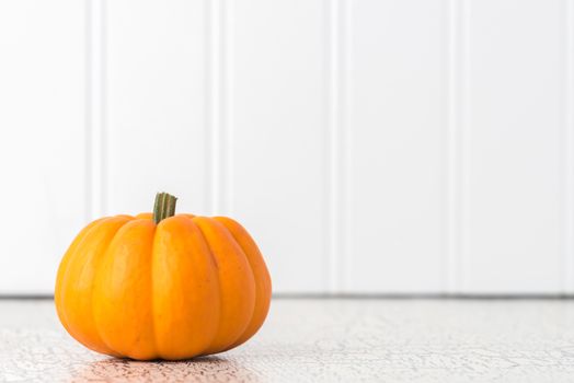 One pumpkin on a plain background with ample copy space.