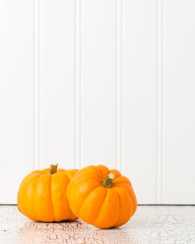 Two ripe pumpkins on a white background with ample copy space.