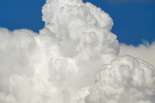 White cloud close up in sky for background