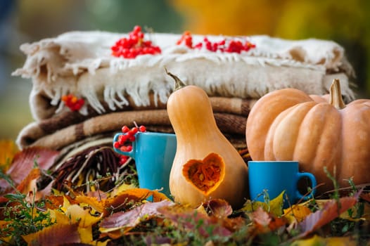 Autumn thanksgiving romantic still life with stacked plaids, pumpkins, apples, berries and coffee cups
