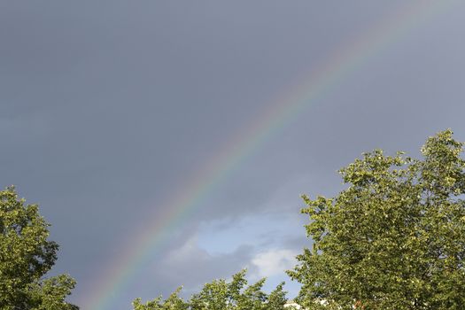 Rainbow against a backdrop of trees and blue sky with white clouds