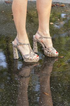 Women's legs in fashionable shoes and their reflection in a puddle.