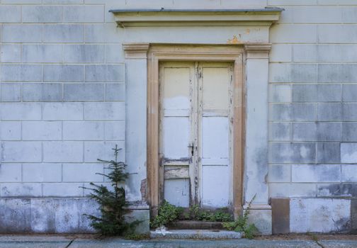 Entrance to a house with non fitting newer door, which are not original. Grey wall. Conifer growing beside the door. Probably Christmas memory.