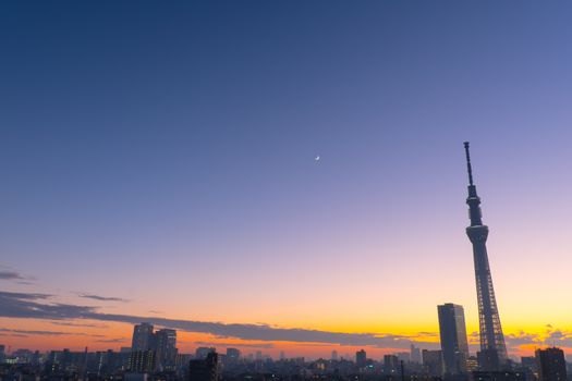 Tokyo sky tree at night