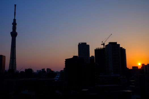 Tokyo city with tokyo sky tree at sunset time