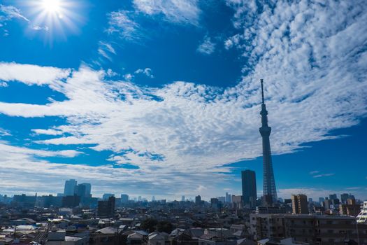 Cloudy skies with Tokyo sky tree