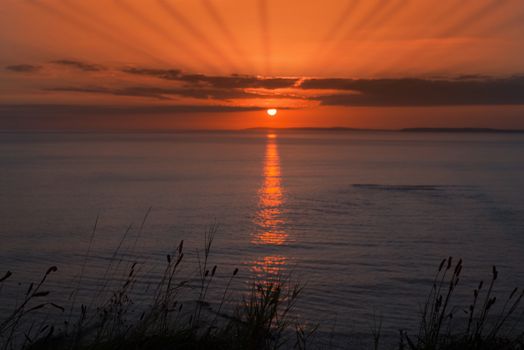 beautiful yellow sunset over loop head with the wild tall grass on the wild atlantic way in ireland