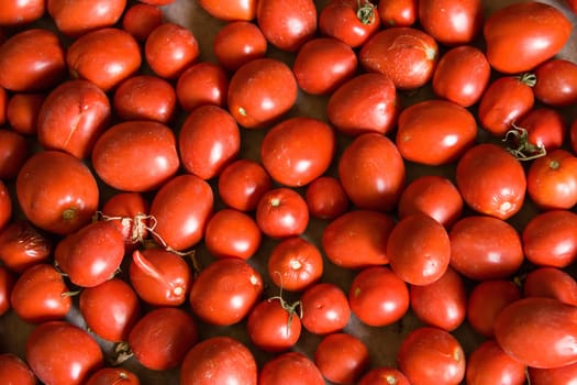 tomatoes with red colors on the floor
