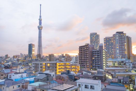 Tokyo sky tree at sunset time