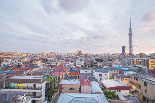 Tokyo sky tree at sunset time