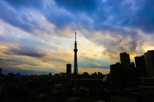 Tokyo sky tree twilight sky