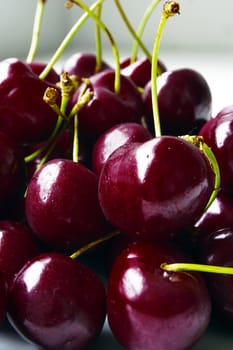 Fresh cherry fruit close up vertical