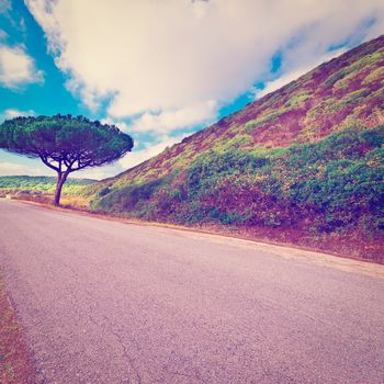 Asphalt Road Leading to Atlantic Coast of Portugal, Instagram Effect