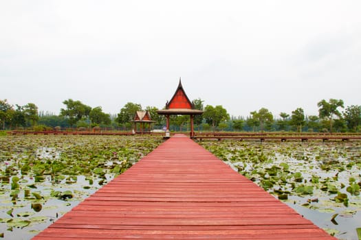 Wooden walkway over the river