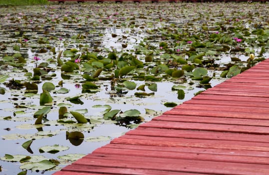 Wooden walkway over the river