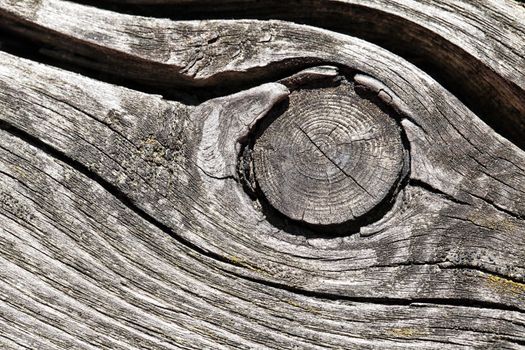 Closeup of old cracked wood for texture or background