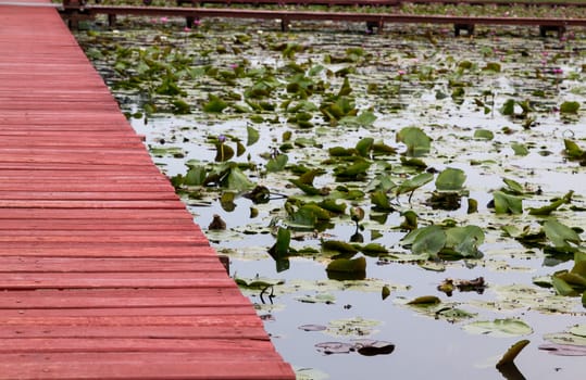 Wooden walkway over the river