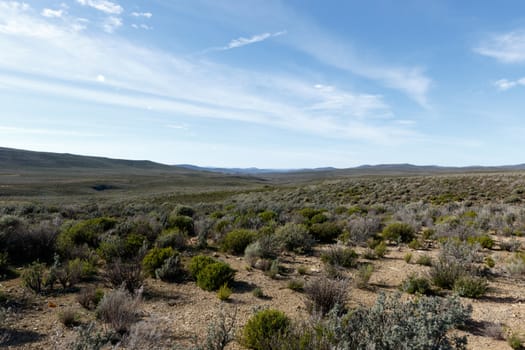 Fields of green with Clouds pointing to the endless wonder of Tankwa Karoo