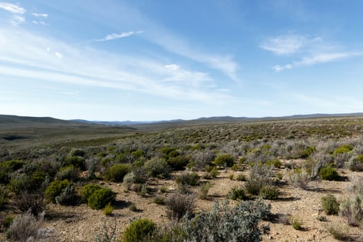 Landscape Blue Skies and green fields of The Karoo