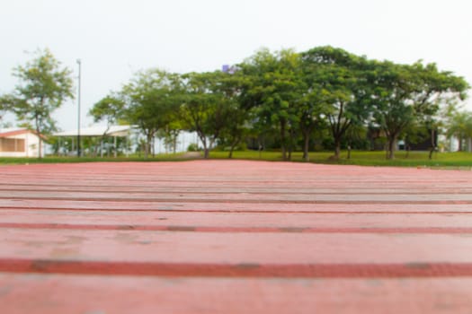 Wooden walkway over the river