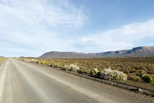 Grey colored road with beautiful blue sky in Tankwa Karoo