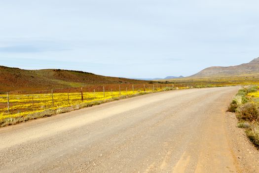 The brown road to Tankwa Karoo is somewhere in that open space on your map.