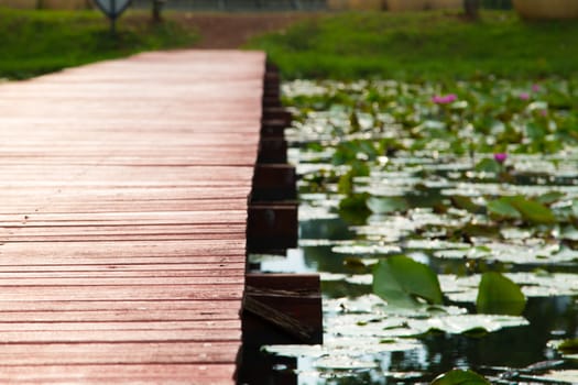 Wooden walkway over the river