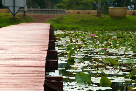 Wooden walkway over the river