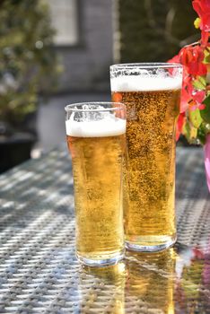 Beer in glass on glass  table against flower during sunny day